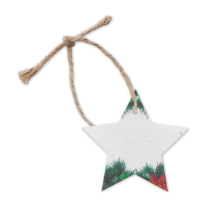 Décoration en papier semences personnalisable Starseed