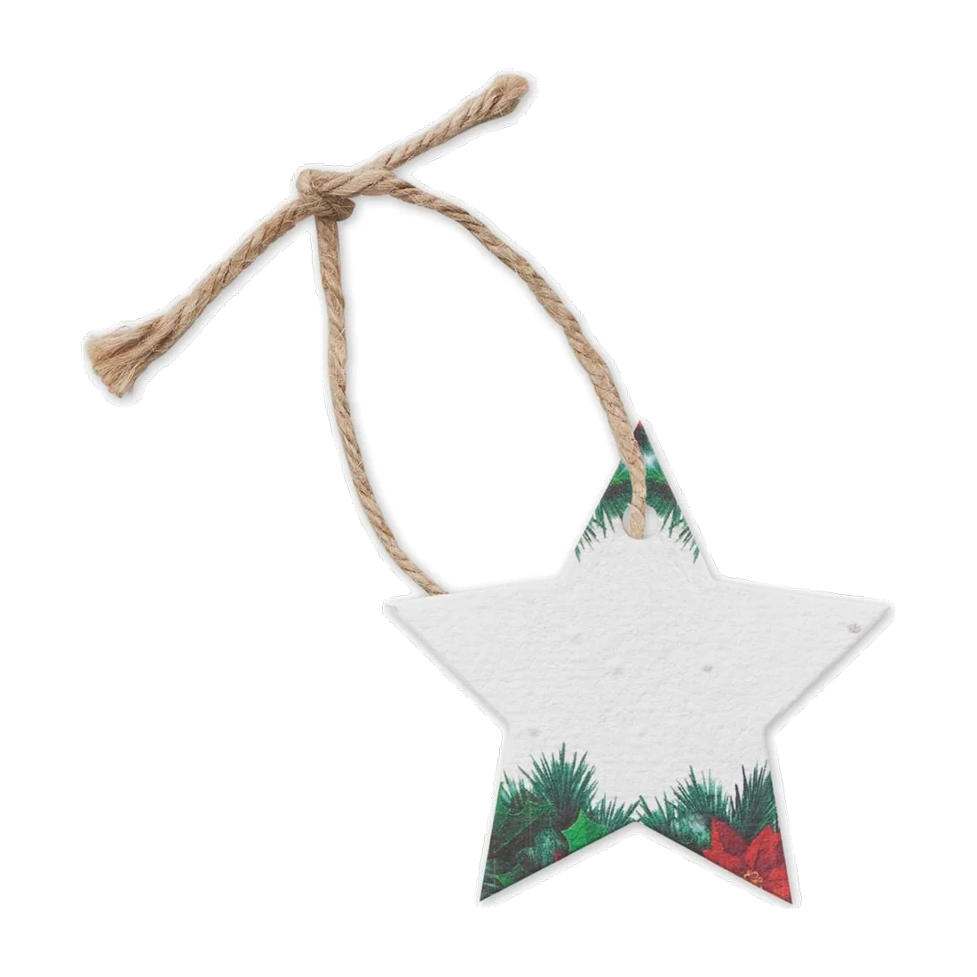Décoration en papier semences personnalisable Starseed