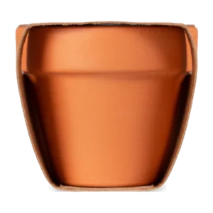 Pot avec graines de cresson personnalisable Cress Pot