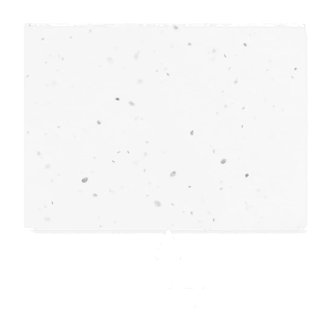 Bloc notes couverture à planter, customisable – Grow Me