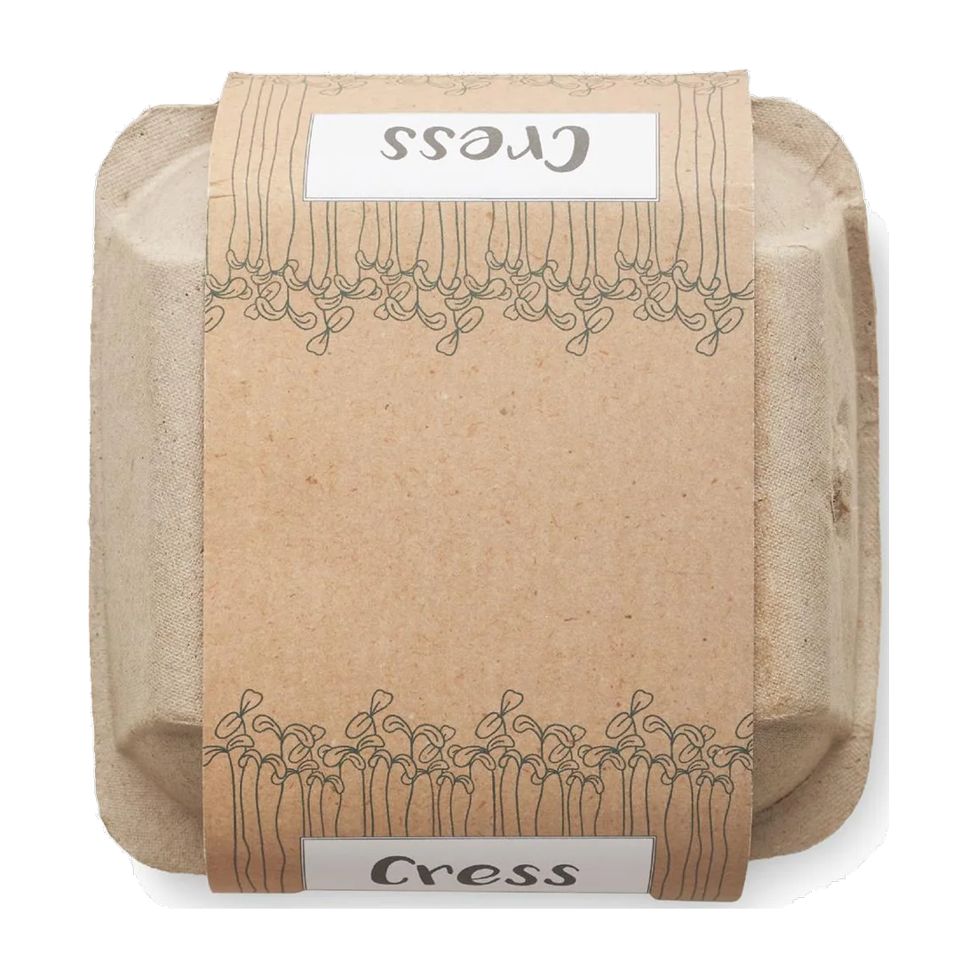 Kit de culture de cresson personnalisable