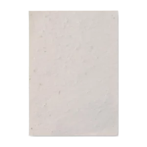 Papier A6 graines de fleurs, customisable – Asido
