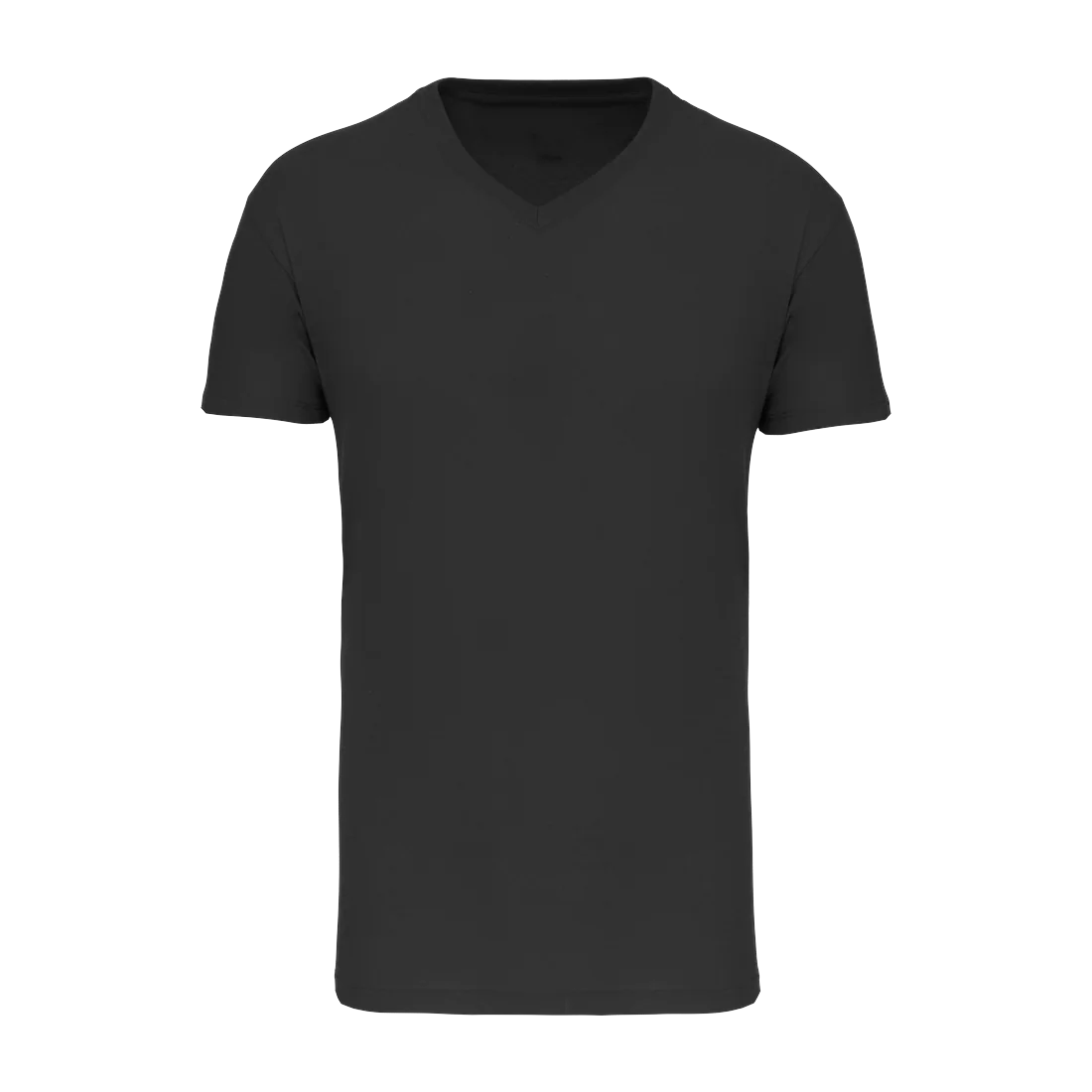 Men's Bio150 IC V-neck t-shirt, customisable – Kariban