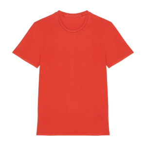 Eco-friendly unisex washed effect t-shirt, customisable – Native Spirit