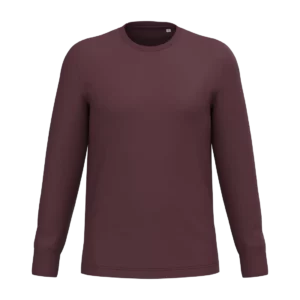 Eco-friendly unisex long sleeve t-shirt, customisable – Native Spirit