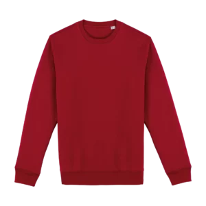 Eco-friendly unisex round neck sweatshirt, customisable – Native Spirit