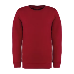 Sweat-shirt écoresponsable à col rond enfant personnalisable Native Spirit